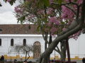 ecuador-cuenca-church