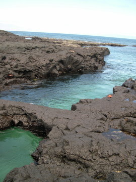 galapagos-lava-and-sea