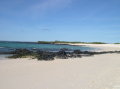 galapagos-rabida-beach