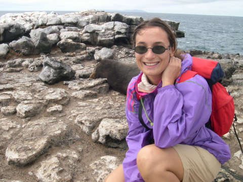 galapagos-delphine-rocks-seal