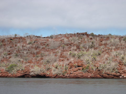 galapagos-rocks