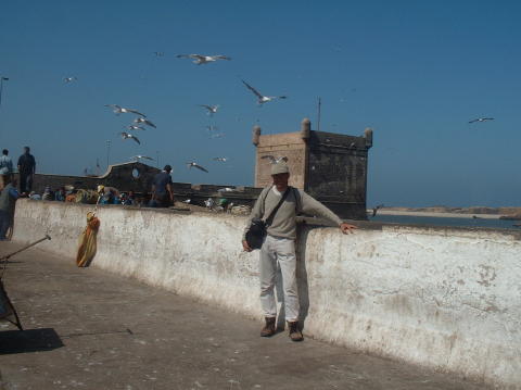 maroc-essaouira-port-raphael