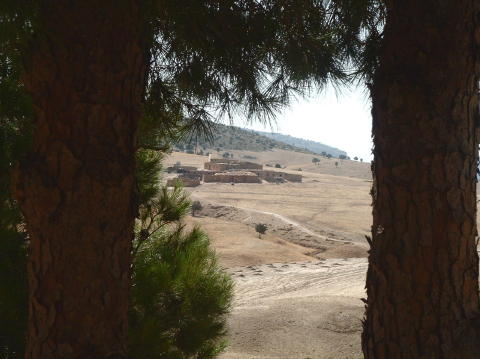 maroc-bourg-coincee-entre-deux-arbres