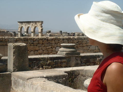 maroc-volubilis-aqueduc-delphine