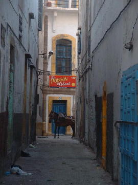 maroc-medina-ruelle-poisson-volant (2)