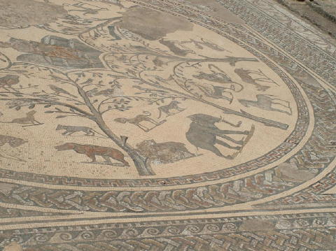 maroc-volubilis-mosaique-animaux (2)