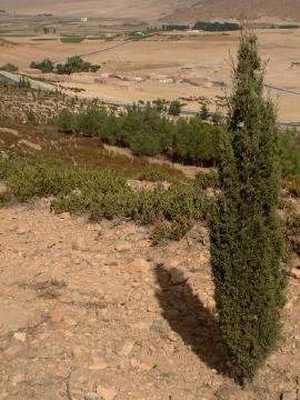 maroc--pre-gorges-ziz (2)