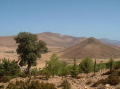 maroc-paysage (2)