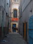 maroc-medina-ruelle-poisson-volant (2)