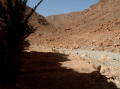 maroc-gorges-todra5 (2)